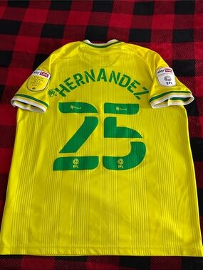 Norwich City #25 Onel Hernandez 2020-21 Errea EFL Championship Home Jersey